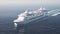 Cruise liner floating in ocean