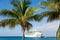 Cruise Ship on Blue Beyond Palm Trees