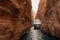 A cruise ship navigates through a breathtaking narrow canyon on its scenic voyage, Cruise ship passes a narrow canyon of rock, AI