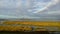 A cruise ship passes a beautiful salt marsh in the sea in the netherlands