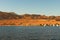 Cruise ships moored in the port in Dahab. Scenic landscape of Red Sea with beautiful coastline and mountains at the background.