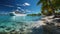 Cruise To Caribbean With Palm Trees Tropical Beach Holiday