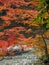 Cruising boat along river in Arashiyama, Japan