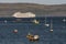 Cruising through the Scottish isles. Cruise ship at anchor at Portree, Scotland.