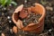 crumbled earthenware pot in garden soil