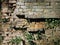 Crumbling Grunge Brick Wall with Ivy.