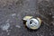 Crumpled a beer can on asphalt with spilled alcohol. Discarded broken carbonated drink can at a road. Problem social, crime.