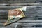 Crumpled Kuwaiti money of change KWD quarter Kuwait dinar bill banknote isolated, wrinkled quarter dinar cash bill banknote,