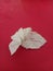 a crumpled lump of tissue on a red background