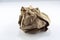 Crumpled paper ball. isolated object, design element, wrinkled wrapping