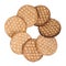 Crunchy cookies with waffle texture