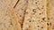 Crunchy crispbreads with sesame and flax seeds. Healthy dietary meal. Macro.