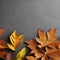 A crunchy and crispy texture with dried leaves and autumn foliage1, Generative AI