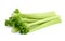 Crunchy Goodness: Isolated Celery Sticks on White Background