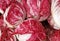 Crunchy radicchio heads for sale