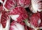 Crunchy red radicchio heads