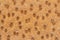 Crunchy slice of multigrain bread texture background