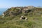 Crusader castle in the ancient town of Apollonia (Tel Arsuf) Apollonia National Park