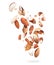 Crushed almonds are hanging in the air, isolated on a white background