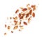 Crushed almonds with shells are falling on a white background