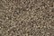 Crushed black peppercorn textured background.