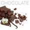 Crushed chocolate parts and vanilla beans