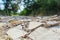 Crushed limestone country road, with various debris. Light grey grunge background