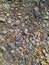 Crushed stone, a lot of small stones scattered on the road