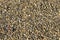 Crushed stone texture background. Rubble. Stone texture