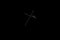 Crux constellation, Cluster of stars, Crucis