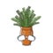 Crying boston fern with the cartoon shape