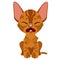 Crying ginger kitten Sphinx, vector cartoon pets