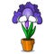 Crying iris flower mascot cartoon