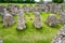 Crypt ruins at St Augustine's Abbey in Canterbury, Kent, UK