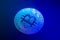 Crypto currency blue coin with bitcoin symbol on isolated on black background. Bitcoin Coin on black background. Bitcoin