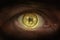 Crypto currency Gold bitcoin. Macro shooting bitcoins. Eye of a man with a bitcoin coin reflected in a student.