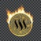 Crypto currency steem golden symbol on fire