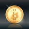 Cryptocurrency Bitcoin Gold coin