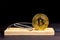 Cryptocurrency in the form of bait. Mousetrap with bitcoin. Souvenir bitcoin coin.