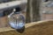 Crystal ball image on rail fence