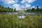 Crystal ball on natural environment, mountains, landscape