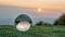 Crystal ball transparent in grass with beautiful sunset color