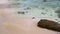 crystal calm wave hitting white sand beach with rocks. copy space provided.