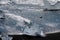 Crystal Clear and Blue Ice Floes on a Black Sand Beach on the Iceland Coast