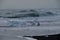 Crystal Clear and Blue Ice Floes on a Black Sand Beach on the Iceland Coast in heavy surf