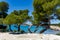 Crystal clear blue Mediterranean sea water on St.Croix Martigues beach and mediterranean pine trees, Provence, France