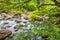 Crystal clear Blue Pools mountain water in  Phongn National Park - Kebang. Clean and pure spring water from mountain