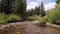 Crystal Clear Rocky Mountain Trout Stream