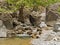 Crystal clear water of a cold mountain creek at rocky terrain of Samaria gorge, south west part of Crete island