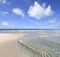 Crystal Clear Water of the Florida Gulf Coast